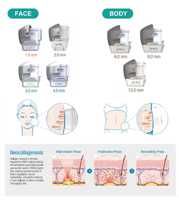 HIFU Focused Ultrasound Therapy with 4MHz Frequency hifu body slimming machine