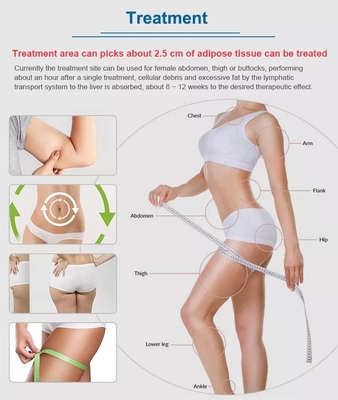 576 dots Slimming Machine Weight Loss Body Anti Cellulite Liposonixing Lipo Machine